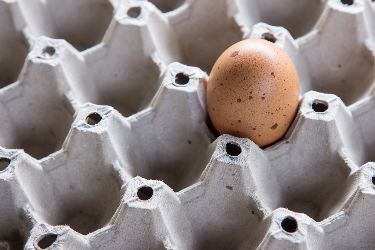 Evo zašto ne bi trebalo da ČUVATE KARTONSKE KUTIJE za jaja: Možete ugroziti zdravlje