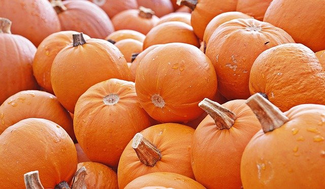 BUNDEVA u službi zdravlja: Jesenja namirnica koja jača imunitet