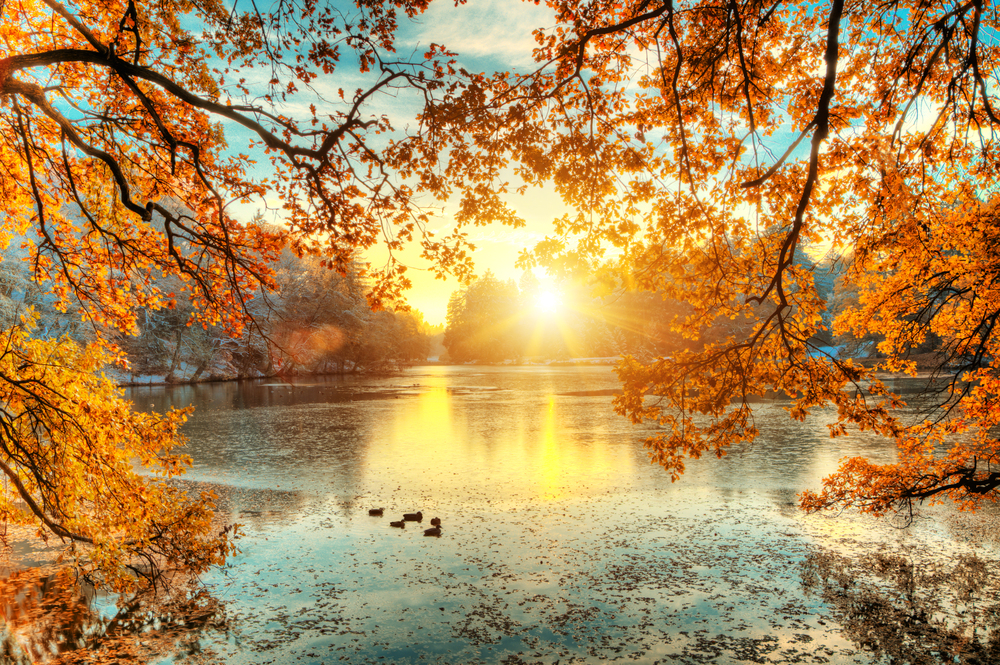 KINESKI HOROSKOP ZA NOVEMBAR: Šta nam donosi mesec za oporavak i pripremu za nove životne izazove