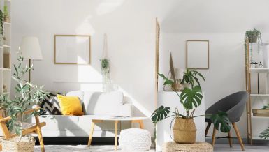 3 sobne biljke se smatraju najboljim prečišćivačima vazduha: Ne koštaju mnogo i krase prostor 