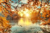 1793282059_beautiful-colored-trees-with-lake-Depositphotos_165123964_S.jpg