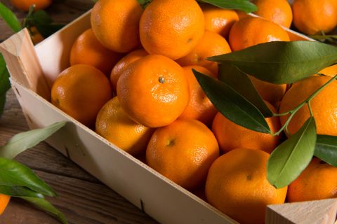 ZBOG ČEGA NUTRICIONISTI OBOŽAVAJU MANDARINE? Pravi su jesenji saveznik 