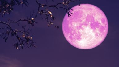 ДОЛАЗИ РУЖИЧАСТИ МЕСЕЦ 2. АПРИЛА: Симболизује буђење, обнову и нови почетак 