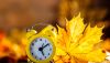 1792825407_vintage-alarm-clock-and-maple-Depositphotos_233169968_S.jpg