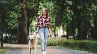 НИЈЕ ВАЖНО САМО КОЛИКО ХОДАТЕ, НЕГО И КАКО: Ево шта каже наука о брзини ходања 