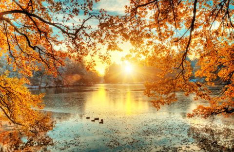 1793282059_beautiful-colored-trees-with-lake-Depositphotos_165123964_S.jpg