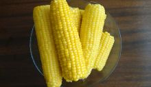 1628250989_sweet-corn-2687175_1920.jpg