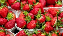1650122042_strawberries-1396330_1280.jpg