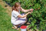 1779710285_Foto-Deposit-maline.jpg