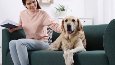 5 RASA PASA ZA LJUDE KOJI IMAJU ANKSIOZNOST: Mogu da smanje stres i vrate osećaj sigurnosti