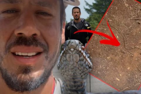 Nikola Rokvić naleteo na otrovnu zmiju pred samim ciljem hodočašća: "Kakav li je ovo trag?"