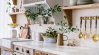 ЖЕЛИТЕ БИЉКЕ У КУХИЊИ? Према ФЕНГ ШУИЈУ ових 6 врста треба да се нађе у том делу дома 
