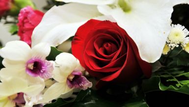 Које цвеће и у којим ситуацијама НИКАКО НЕ ВАЉА поклањати за 8. март - ни руже нису увек добар избор