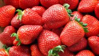 Како да изаберете најукусније јагоде: Тајна је у боји, мирису и петељкама