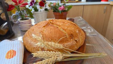 RECEPT ZA DOMAĆU POGAČU: Kako do zlatne korice, a vazdušastog testa? (VIDEO)