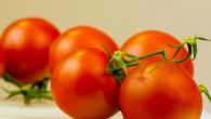 OSIM VELIČINE, RAZLIKA JE I U OVOME: Evo šta kulinarski majstori kažu za čeri i običan paradajz