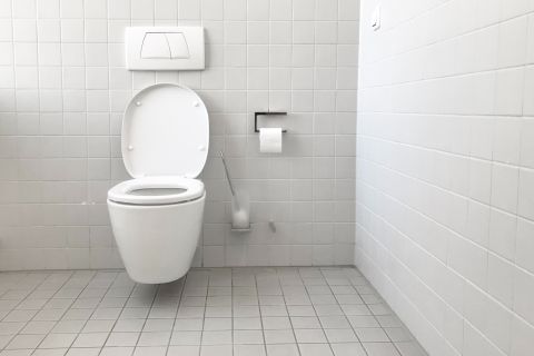 Očistite WC šolju na potpuno prirodan način: Potrebna su vam samo TRI sastojka koja imate u KUHINJI (VIDEO)