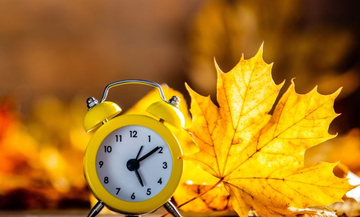 1792825407_vintage-alarm-clock-and-maple-Depositphotos_233169968_S.jpg