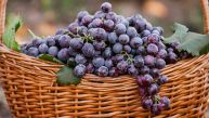 ЗАШТО СЕ НА ЈЕСЕЊИ КРСТОВДАН ЈЕДЕ И ПОКЛАЊА ГРОЖЂЕ? Обичај који у народу има важну симболику 