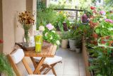 1710082268_Foto-Shutterstock-terasa-biljke.jpg