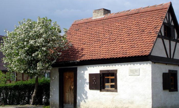 Borite se sa blatom oko kuće, ne znate kako da izađete sa tim na kraj: Čime je najbolje nasuti dvorište i šta se najviše isplati u Srbiji, a da ste mirni godinama