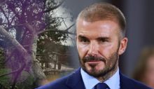 1704364302_Foto-Profimedia-Printscreen-Instagram-davidbeckham.jpg
