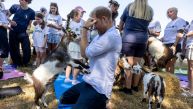 ПРИНЦ ХАРИ ИМАО НЕЗГОДУ СА КОЗОМ: Мирно је лежао када је она скочила на њега - ево шта је урадио