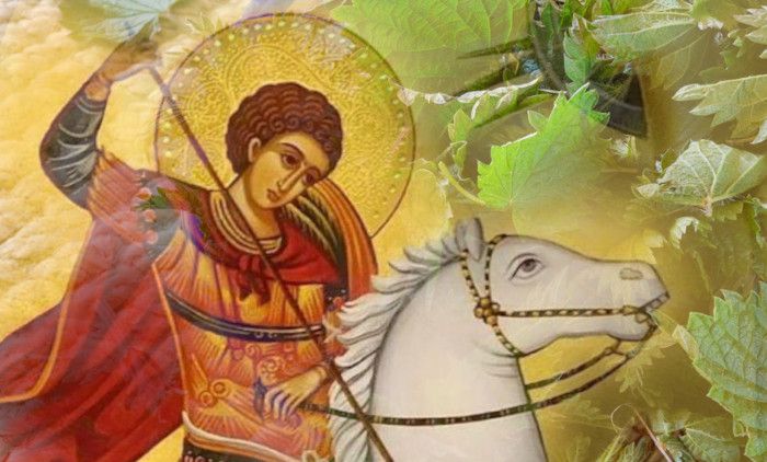 Biljka koju treba da unesete u vaš dom pre Đurđevdana: Veruje se da donosi mir, zdravlje i novac