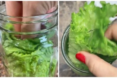 Odličan i jednostavan trik: Kako da vam zelena salata ostane sveža (VIDEO)