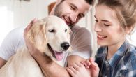 ZAŠTO BI TREBALO DA SE OSMEHUJETE SVOM PSU? Naučnici došli do zanimljivih informacija 