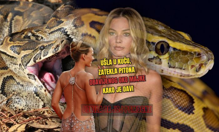 1758125006_Margo-Robi-piton-zmija-foto-Profimedia-4.jpg