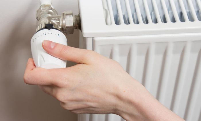1702734726_1294057_grejanje-radijtaro-foto-shutterstock_ls.jpg