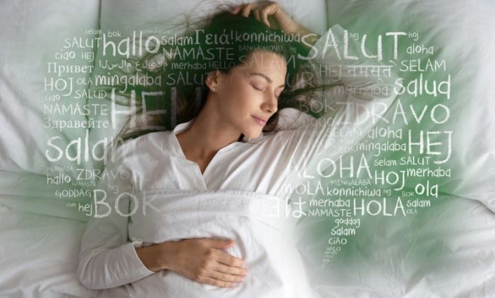 1677414806_shutterstock_223617775-jezici-snovi-naslovna-1.jpg