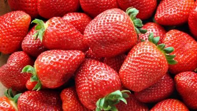 Како да изаберете најукусније јагоде: Тајна је у боји, мирису и петељкама