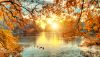 1793282059_beautiful-colored-trees-with-lake-Depositphotos_165123964_S.jpg