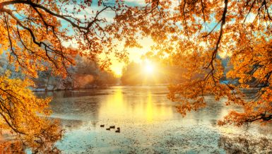KINESKI HOROSKOP ZA NOVEMBAR: Šta nam donosi mesec za oporavak i pripremu za nove životne izazove 