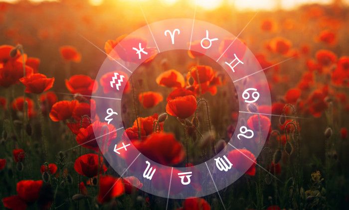 1699342116_Foto-Shutterstock-danasnji-horoskop.jpg