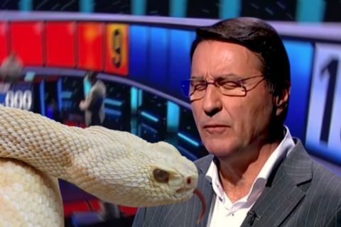 USPRED "POTERE": Zmija se obmotala oko Memedovićevog vrata, muk u studiju (VIDEO)