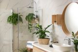 1793193764_green-plants-elegant-modern-bathroom-Depositphotos_341784708_S.jpg
