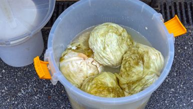 ДА ЛИ КИСЕЛИ КУПУС МОЖЕ ДА СТОЈИ НА ТЕРАСИ КАДА ЈЕ НАПОЉУ МИНУС: Стручњаци упозоравају на грешку коју многи праве