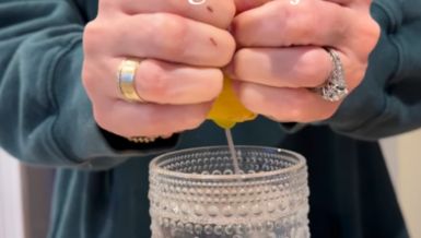 CEDI LIMUN BEZ SEČENJA: \