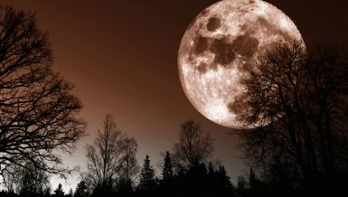 ŠTA PRVI PUN MESEC U 2026. GODINI DONOSI SVIM HOROSKOPSKI ZNAKOVIMA? Zove se VUČJI MESEC i vreme je kada maske padaju 