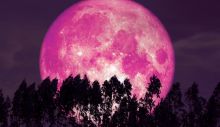 1680601147_shutterstock_1445341094-PINK-MOON-11.jpg