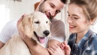 ЗАШТО БИ ТРЕБАЛО ДА СЕ ОСМЕХУЈЕТЕ СВОМ ПСУ? Научници дошли до занимљивих информација 