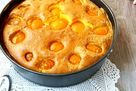 KOLAČ SA ŠLJIVAMA KOJI SE TOPI U USTIMA: Vazdušast biskvit i sočno voće savršena su kombinacija (RECEPT)