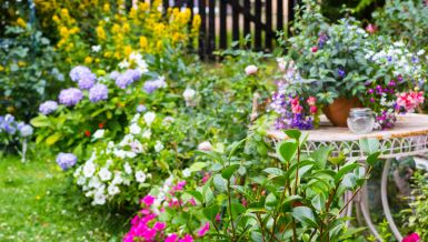 ДОМАЋА ПРИХРАНА ЗА БИЉКЕ: Прави се од јефтине намирнице коју свако има у кухињи 