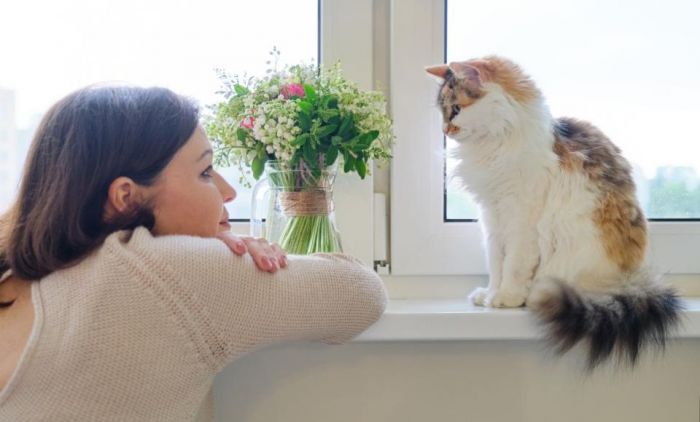 1754481749_93512.jfif