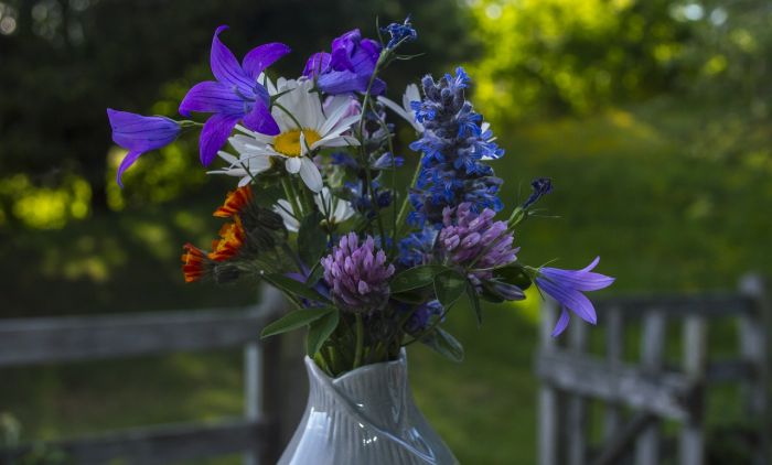 1645294549_bouquet-of-flowers-g83d878a24_1280.jpg