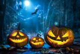 1793359376_halloween-pumpkin-head-jack-lantern-Depositphotos_106065454_S.jpg